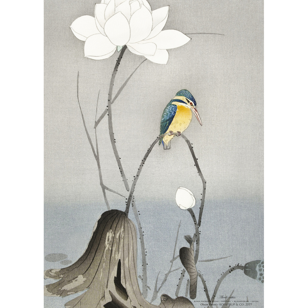 Koustrup & Co. art print with kingfisher