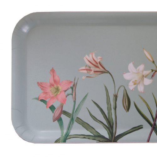 Koustrup & Co. tray, 32x15 - amaryllis