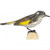 Wildlife Garden wood-carved bird - honeyeater