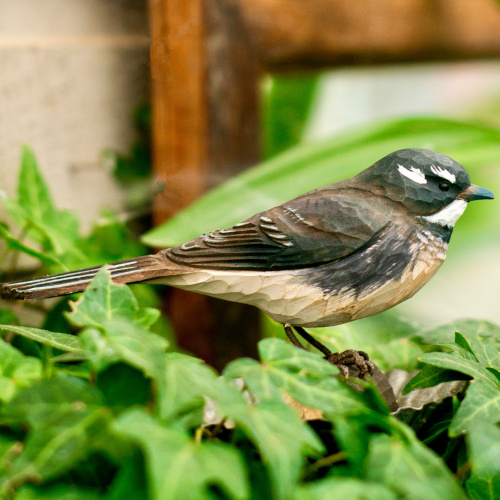 Wildlife Garden Vögel aus Holz - Grauer Fantail