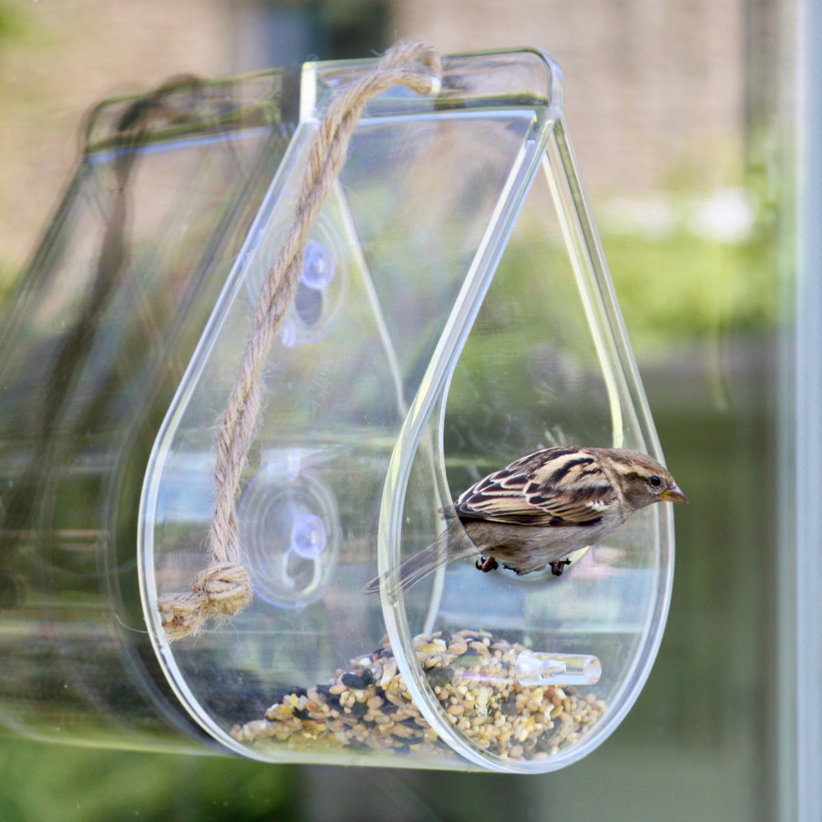 Wildlife World bird feeder for window and suspension