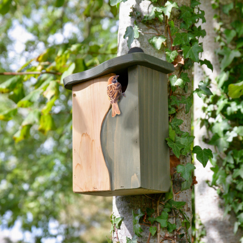 Wildlife World nest box with curved entrance
