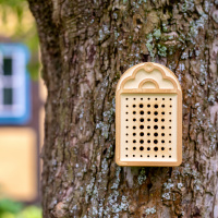 Denk ein Wildbienenhaus