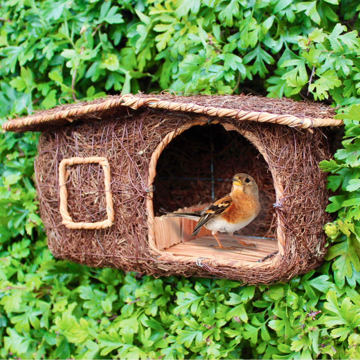 Wildlife World nest box hut in wicker