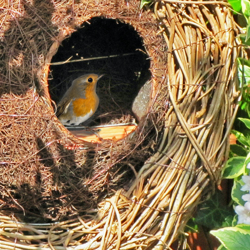 Wildlife World nest box wreath in wicker