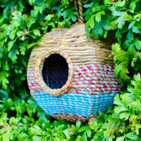 Wildlife World craft nest box - Anita