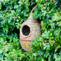 Wildlife World Craft Birdhouse - fågelholk
