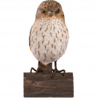 Wildlife Garden tree bird - the pine wood-carved bird