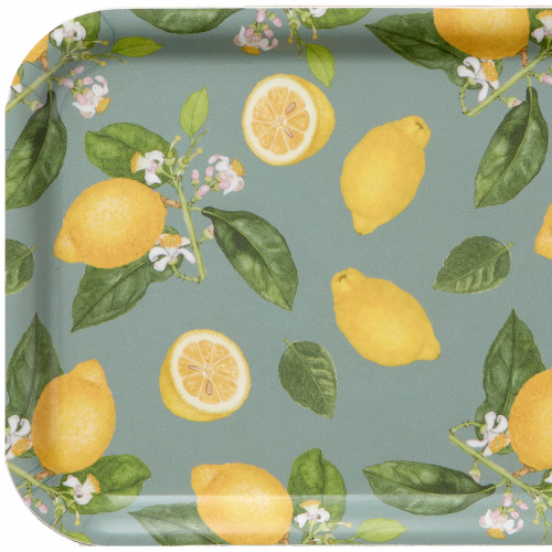 Koustrup & Co. tray, 32x15 - lemons