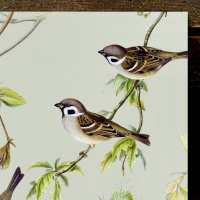 Koustrup & Co. notebook - birds