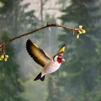 Wildlife Garden vögel aus Holz - Stillits