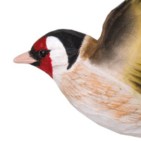Wildlife Garden boomvogel - stillits