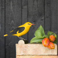 Wildlife Garden boomvogel - pyrrool