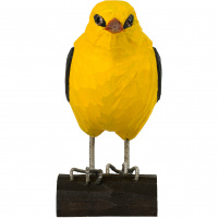 Wildlife Garden boomvogel - pyrrool