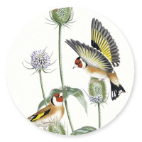 Koustrup & Co. glass pieces - birds of the garden