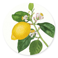 Koustrup & Co. glasbrikker - citroner