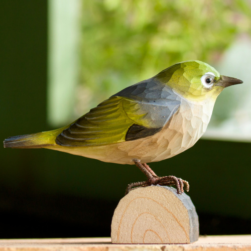 Wildlife Garden träfågel glasögonfågel