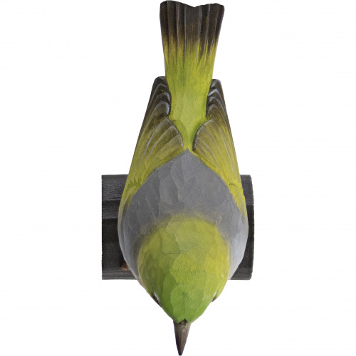 Wildlife Garden boomvogel - brilvogel