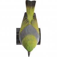 Wildlife Garden vögel aus Holz – Brillenvogel