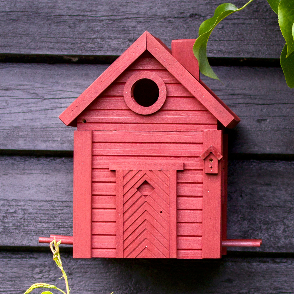 Wildlife Garden nest box / automatic feeder - red soil