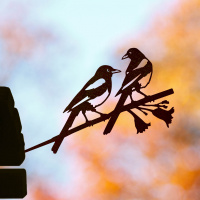 Metalbird Vogel aus Cortenstahl - Hausschaden